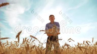 老农夫剪影面包师拿着一个金色的面包和面包在成熟的麦田生活方式对抗蓝天。 慢慢慢慢